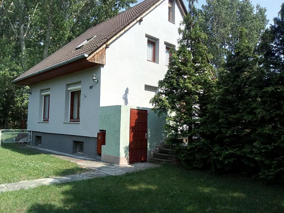 F 106 Vendégház Fertőhomok Kültér fotó